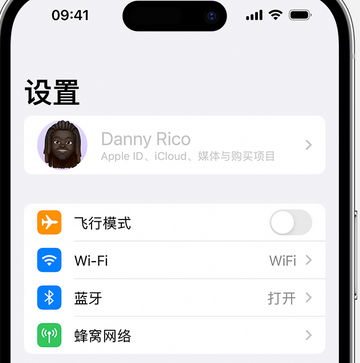 阆中appleID维修服务iPhone设置中Apple ID显示为灰色无法使用
