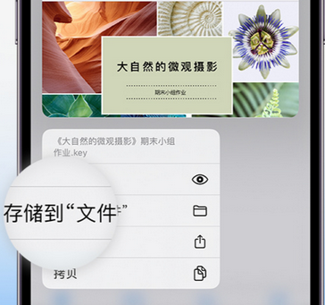 阆中apple维修中心分享iPhone文件应用中存储和找到下载文件