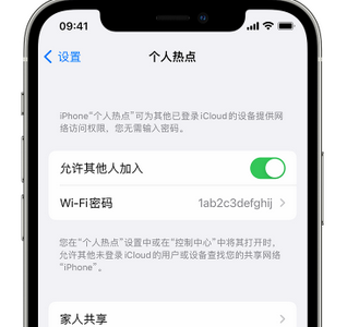 阆中apple服务站点分享iPhone上个人热点丢失了怎么办