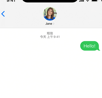 阆中apple维修iPhone上无法正常发送iMessage信息