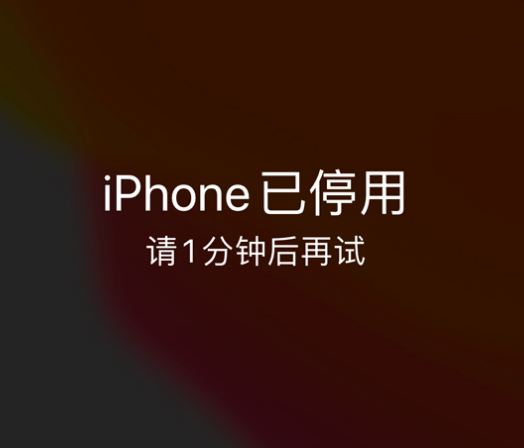 阆中苹果手机维修分享:iPhone 显示“不可用”或“已停用”怎么办？还能保留数据吗？ 