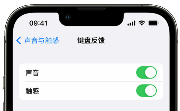 阆中苹果手机维修分享iPhone 14触感键盘使用方法 