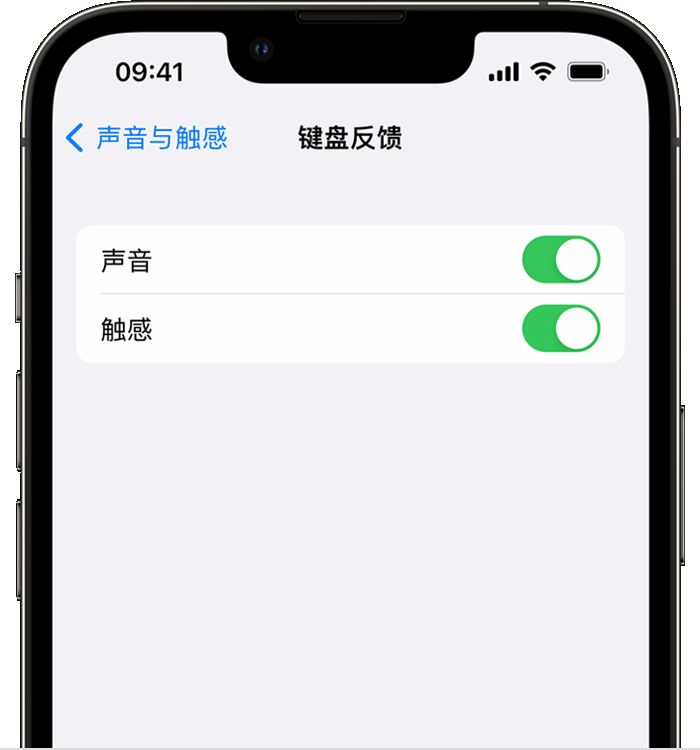 阆中苹果14维修店分享如何在 iPhone 14 机型中使用触感键盘 