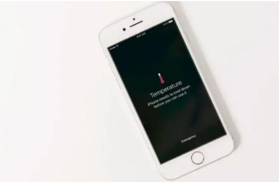 阆中苹果手机维修分享iPhone 手机发热如何快速降温 