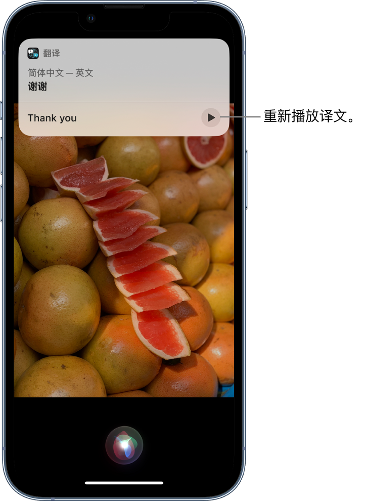 阆中苹果14维修分享 iPhone 14 机型中使用 Siri：了解 Siri 能帮你做什么 