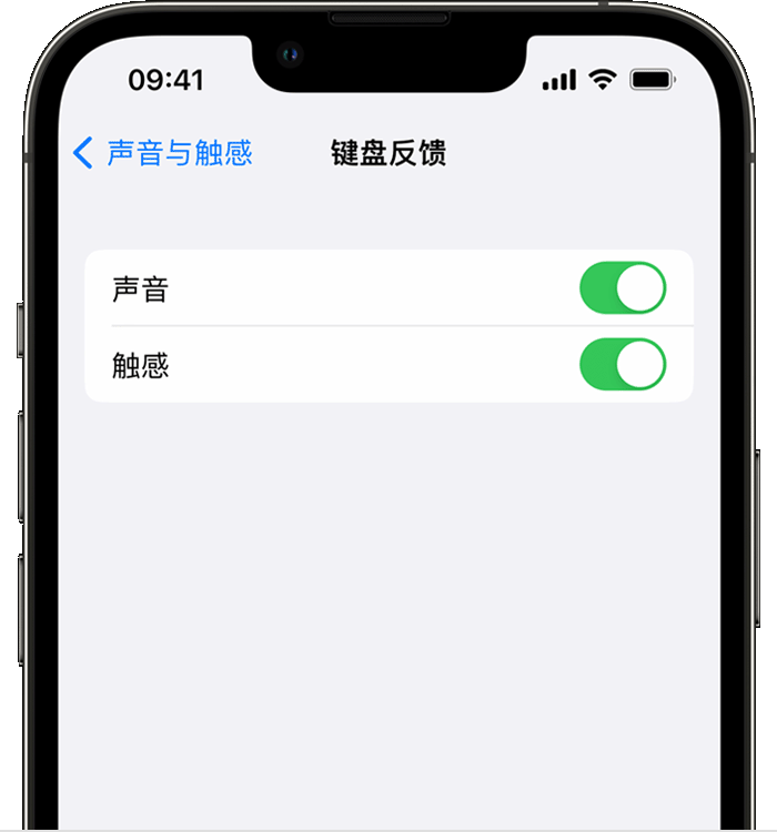 阆中苹果14维修分享iPhone 14 系列机型如何开启键盘声音或触感反馈 