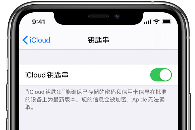 阆中苹果手机维修分享在 iPhone 上开启 iCloud 钥匙串之后会储存哪些信息 