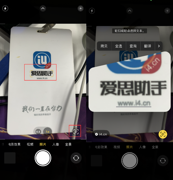 阆中苹果手机维修分享升级iOS 16后如何通过相机翻译文本 
