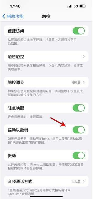 阆中苹果手机维修分享iPhone手机如何设置摇一摇删除文字 
