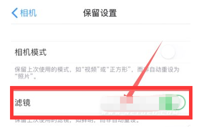 阆中苹果13维修分享iPhone13拍照有绿点是怎么回事 