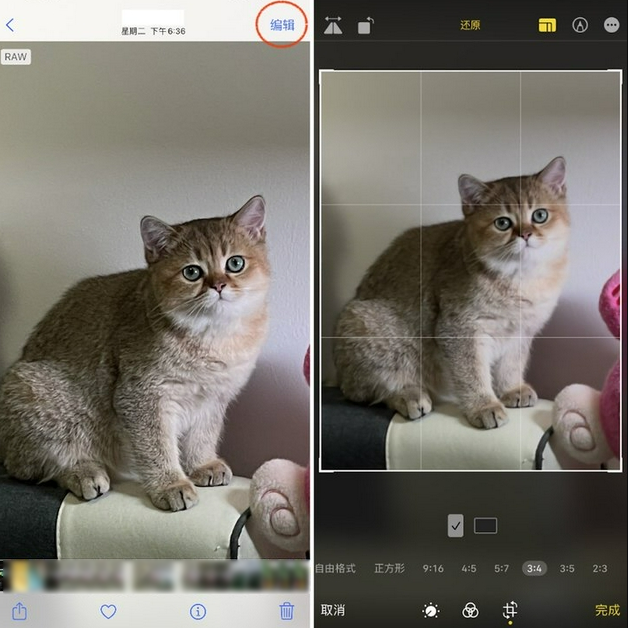 阆中苹果手机维修分享苹果 iPhone 12 Pro 拍照会过度锐化 