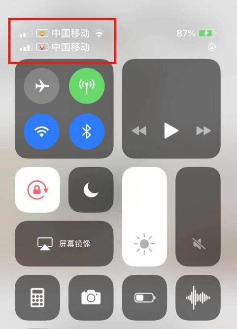 阆中苹果手机维修分享为 iPhone 12 双卡设置标签 